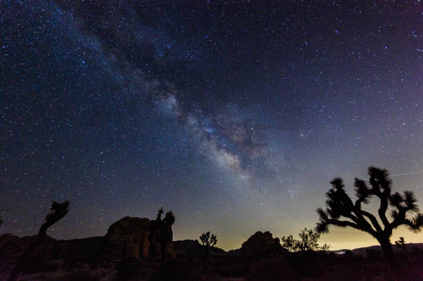 istock Milky Way Galaxy over Joshua Tree 1068681906