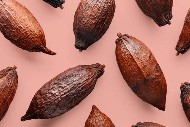 Cocoa pod Cocoa pods on a pink background, creative flat lay food concept cacao fruit stock pictures, royalty-free photos & images