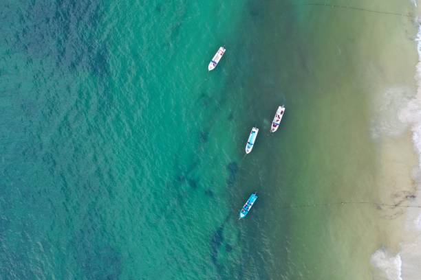 istock caribbean sea covered by sargasso algae in Tulum 1068695356
