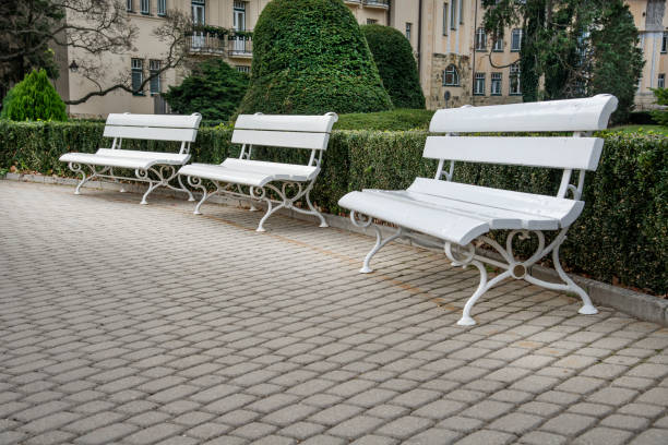 Empty white benches in the park garden in summer