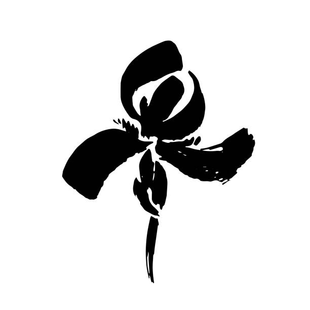 ikona kwiatu wektora. kwiatowe tło. atrament kaligrafii. stylizowana kaligraficzna przysłona atramentu. - iris ink and brush sign flower stock illustrations