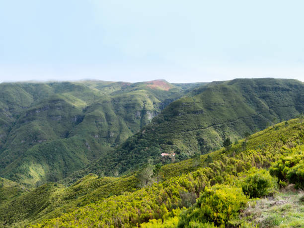 istock Madeira Island Mountains Portugal 1068719548
