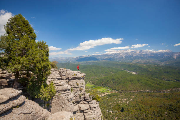 Listen to silence in the natural world.