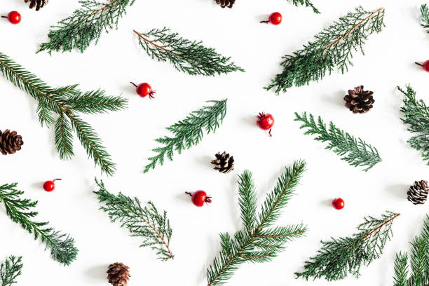 istock Christmas composition. Pattern made of coniferous tree branches, red berries on white background. Christmas, winter, new year concept. Flat lay, top view 1068722638