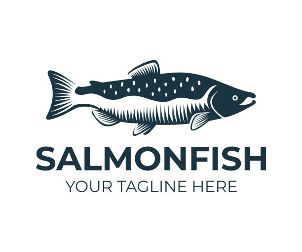лосось, рыба и рыбалка, дизайн логотипа. подводный мир, речная и морская жизнь, природа, векторный дизайн, иллюстрация - catch of fish water river salmon stock illustrations