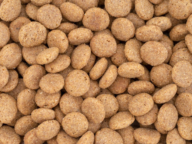 istock Dried dog food biscuits background 1068758330