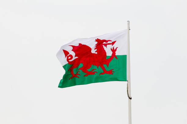 istock The Welsh flag flying against a white background. 1068761170
