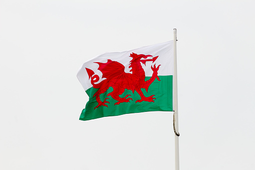 The flag of Wales consists of a red dragon passant on a green and white field. The flag incorporates the red dragon of Cadwaladr, King of Gwynedd, along with the Tudor colours of green and white.