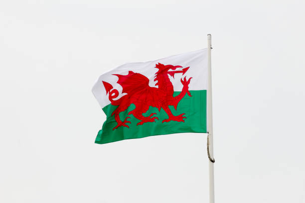 o voo da bandeira galesa contra um fundo branco. - welsh flag welsh culture flag green - fotografias e filmes do acervo
