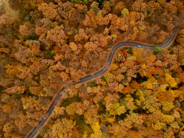 istock Aerial view at the road in autumn forest 1068761298
