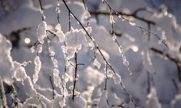 istock Winter landscapes of nature 1068761334