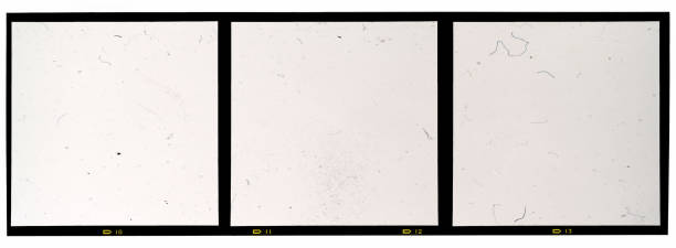 istock 120mm middle or medium format analog film frame or strip on white background, scanned 6x6 frame 1068763290