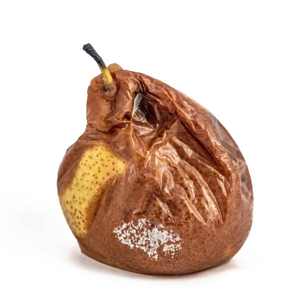Dented Pears Rotten And Moldy Pears Stock Photos, Pictures & Royalty-Free Images ...