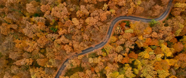 istock Aerial view at the road in autumn forest 1068763698