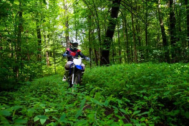 A young dirt bike rider in the woods.