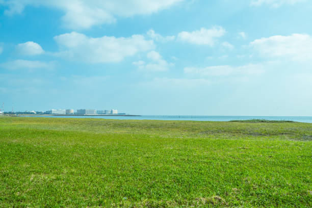 grass field lake landscape park background material