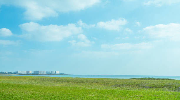 istock grass field lake landscape park background material 1068767618