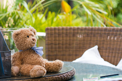 Teddy bear on a table in the garden is waiting for the children playing