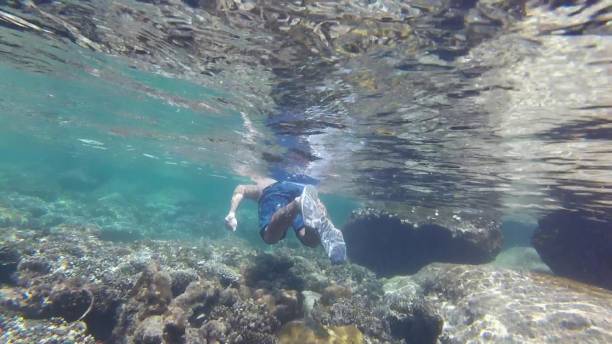 istock Underwater over coral in shallow tropical seas 1068778236