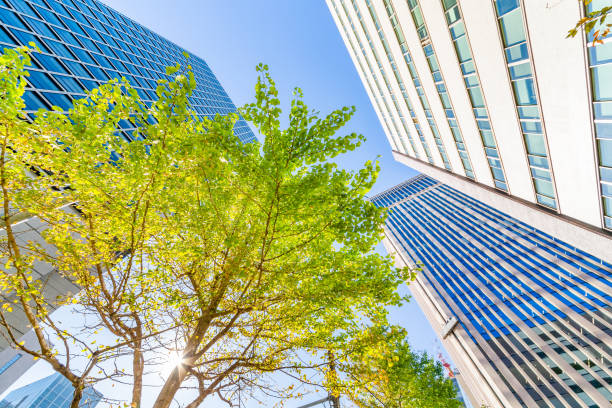 istock Autumn clouds Tokyo building group 1068778296