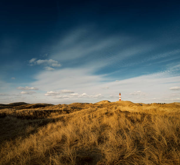 paisaje de costa con un faro, la isla de amrum - amrum summer spring island fotografías e imágenes de stock