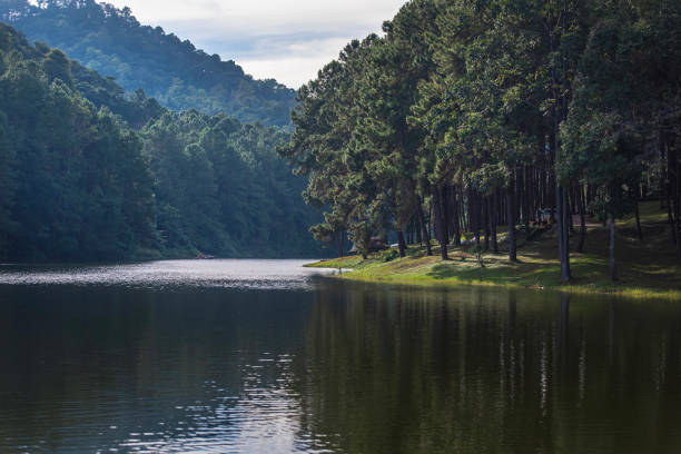 istock Royal Projects of Pang Ung  Mae Hong Son  Thailand 1068790880