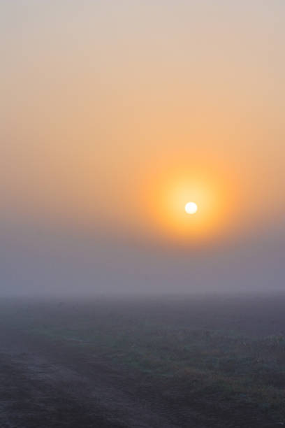 istock Sunrise in the fog 1068793856