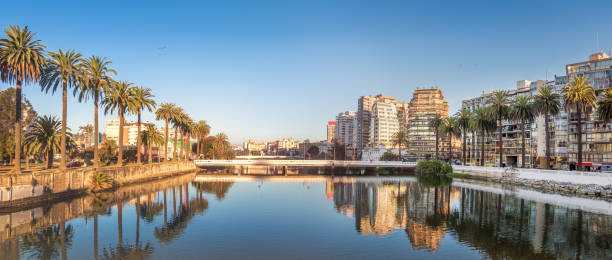 Panoramic view of Estero river at sunset - Vina del Mar, Chile Panoramic view of Estero river at sunset - Vina del Mar, Chile vina del mar chile stock pictures, royalty-free photos & images