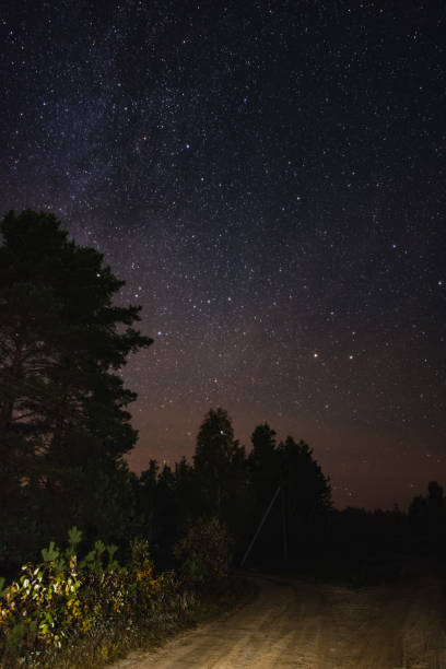 istock The road at night under the starry sky in the forest 1068811950