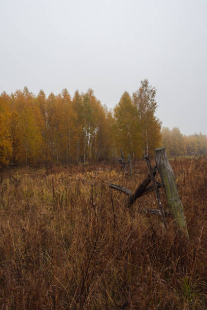 istock Old fence in autumn misty morning 1068812232