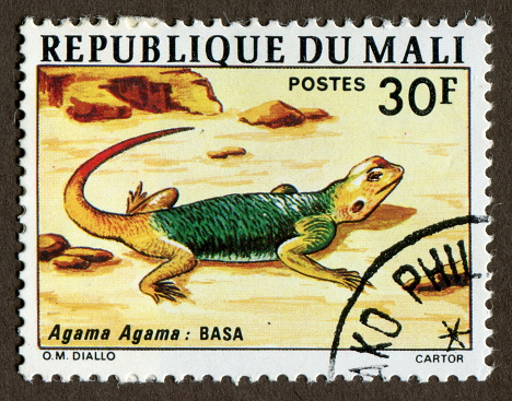 Republic of Mali stamps: Rainbow lizard, The common agama, red-headed rock agama, or rainbow agama (Agama agama) is a species of lizard. from the Agamidae family found in most of sub-Saharan Africa.