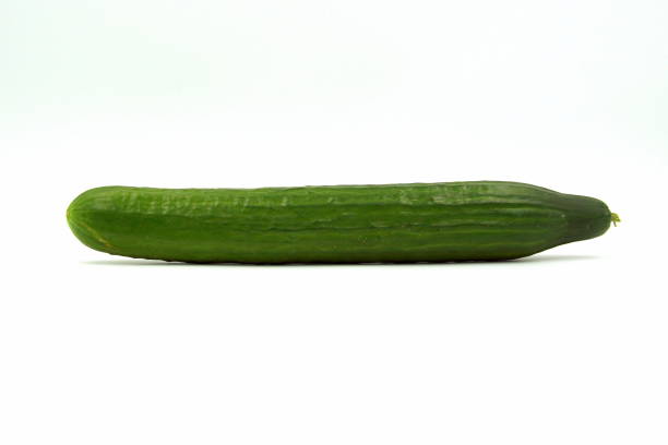 Green cucumber stock photo