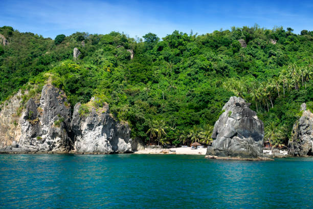 アポ島のビーチ - apo island ストックフォトと画像