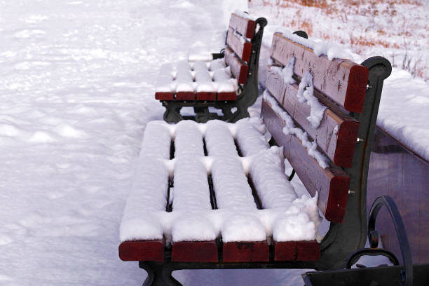 istock two benches in city park under fresh snow 1068819428