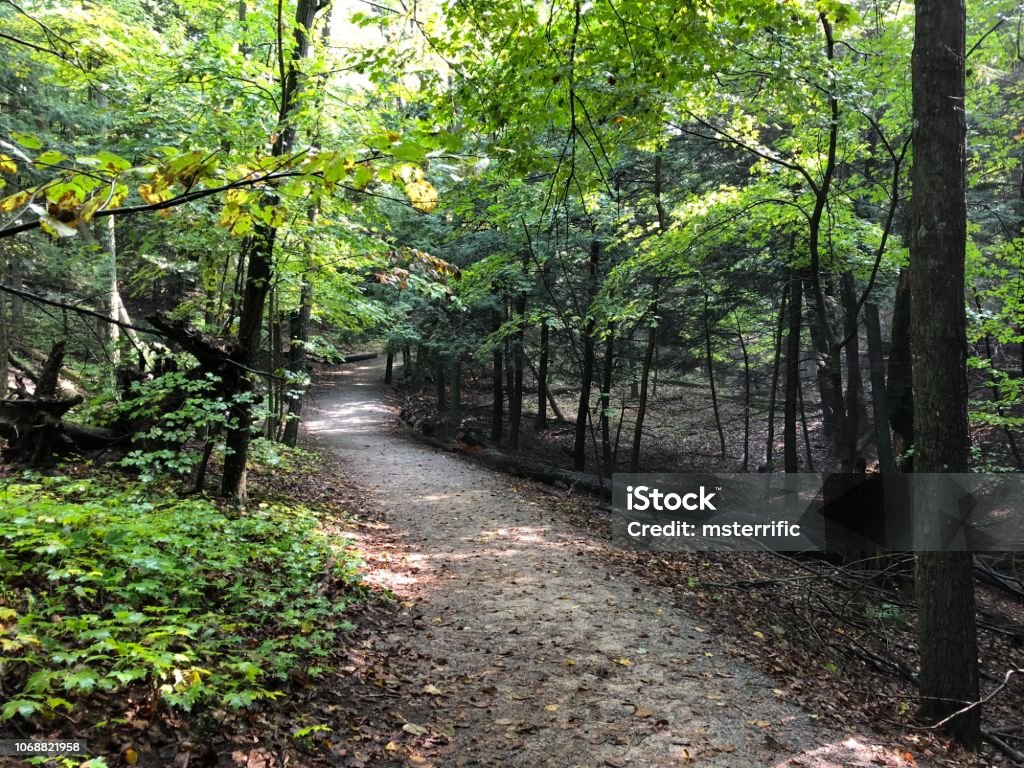 Phot Pathways Pathway Stock Photo - Download Image Now - Bright, Day, Footpath - iStock
