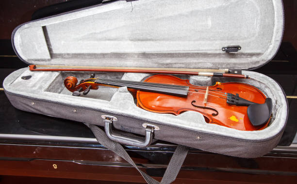 istock brown vintage violin lying in a case 1068824904