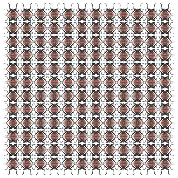 Firebug, Pyrrhocoris apterus, in repeated pattern, in front of white background