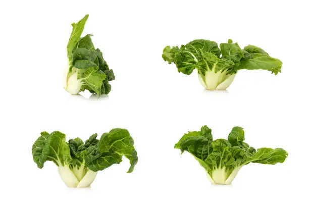 Pak Choy, Bok choy or Chinese-cabbage isolate on white background, Bok choy is the best leafy green vegetable.