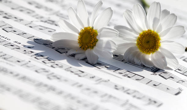 istock Flower Flora Daisy and Music Notes Sheets 1068828642