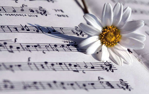 istock Flower Flora Daisy and Music Notes Sheets 1068828696