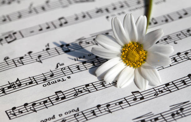 istock Flower Flora Daisy and Music Notes Sheets 1068828760