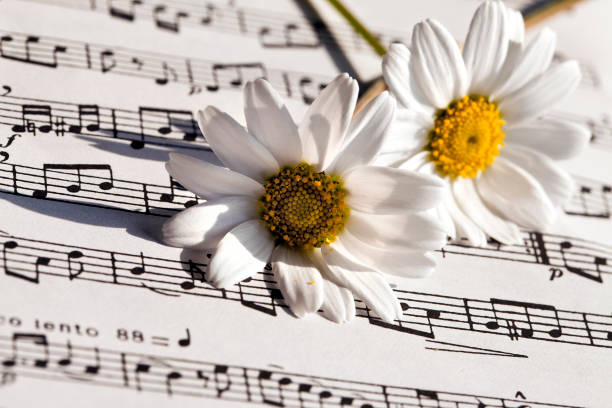 istock Flower Flora Daisy and Music Notes Sheets 1068828796