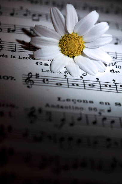 istock Flower Flora Daisy and Music Notes Sheets 1068828900