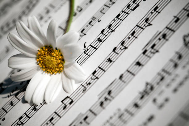 istock Flower Flora Daisy and Music Notes Sheets 1068828944