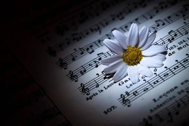 istock Flower Daisy Music Notes and Candle 1068829312