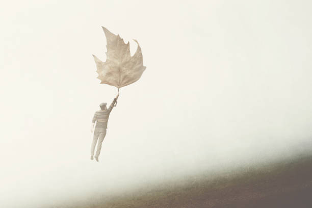 man flying in the fog with a big leaf in autumn