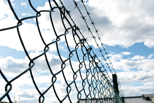 segurança de arame farpado - barbed wire fence wire danger - fotografias e filmes do acervo