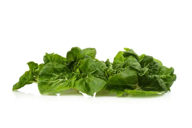 Pak Choy, Bok choy or Chinese-cabbage isolate on white background, Bok choy is the best leafy green vegetable.