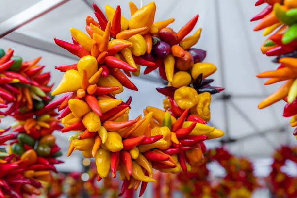 bunte paprika ristras und kranz hängen auf dem markt in seattle - wreath chili pepper pepper ristra stock-fotos und bilder