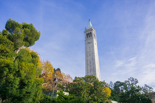 Sather tower (the Campanile) on a blue sky background, UC Berkeley, California, San Francisco bay